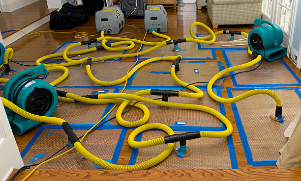 Professional Basement Flood Cleanup technician working in Mansfield, TN